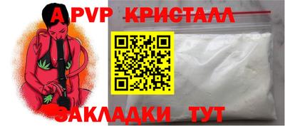 амф Кингисепп