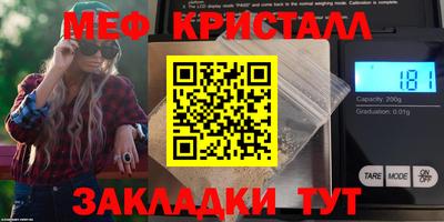 амф Кингисепп