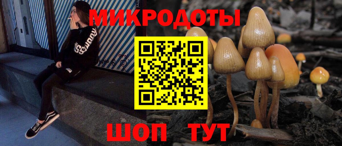 Чебаркуль  Псилоцибиновые грибы мухоморы  Вход с VPN  Псилоцибиновые грибы прущие грибы 